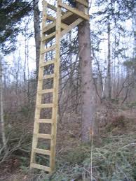 Ladder Deer Stand